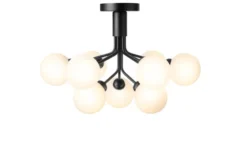 Apiales 9 Ceiling Taklampa
