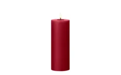Blockljus LED Winter Berry