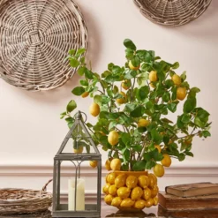 Chakra Limoni Vas Liten