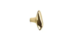 Chanterelle Hook