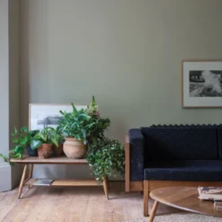 Colour By Nature – No. W9 Ash Grey
