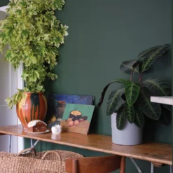 Colour By Nature – No. W55 Duck Green