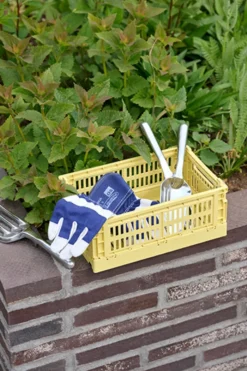 Colour Crate Small