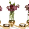 Constella Glasinsats 5-pack