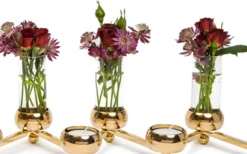 Constella Glasinsats 5-pack