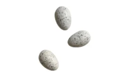 Deco Egg Dekorationsägg
