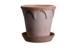 Elizabeth Kruka 16cm Rosa