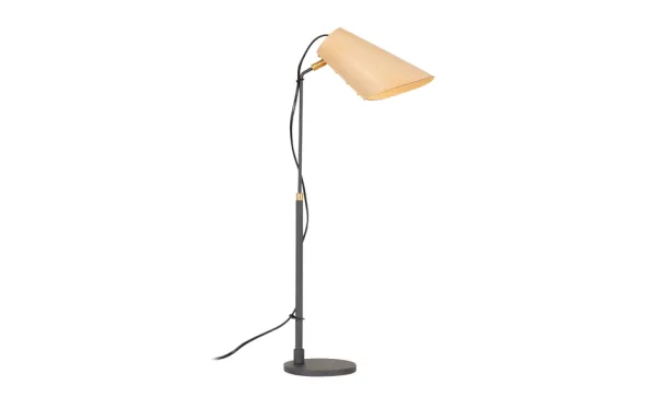 Erik Bordslampa