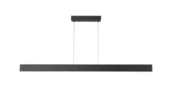 Flora P150 Pendel
