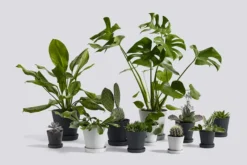 Flower Pot Kruka Grey