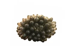 Grape Lampa Liten Antracit