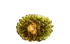 Grape Lampa Liten Grön
