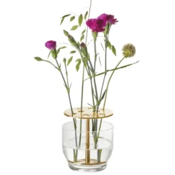 Ikebana Vas Liten