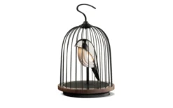 JinGoo Wireless Högtalare/Lampa
