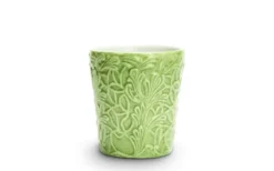 Lace Mugg