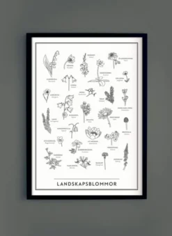Landskapsblommor Affisch