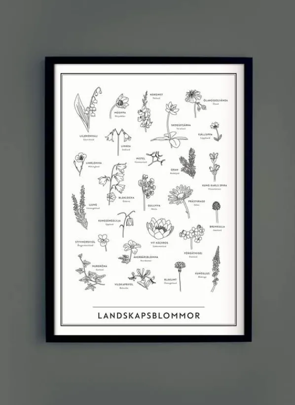 Landskapsblommor Affisch