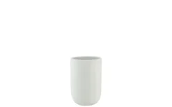 Lotus Tandborstmugg