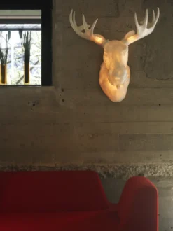 Moo Vägglampa