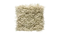 Moss Matta