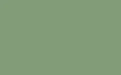 No. 81 Breakfast Room Green