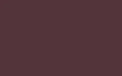 No. 222 Brinjal