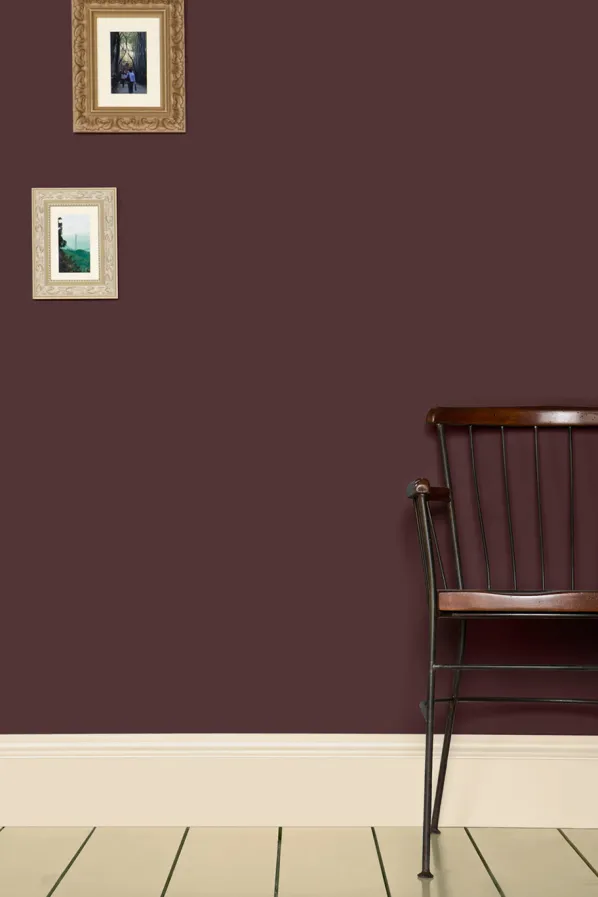 No. 222 Brinjal