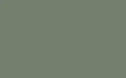 No. 79 Card Room Green