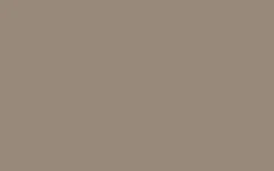 No. 243 Charleston Gray