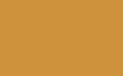 No. 66 India Yellow