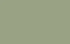 No. 19 Lichen