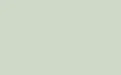 No. 204 Pale Powder