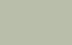 No. 25 Pigeon