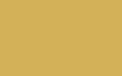 No. 51 Sudbury Yellow