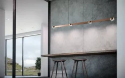 Optic Linear Pendel