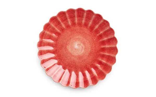 Oyster Tallrik Ø28 cm