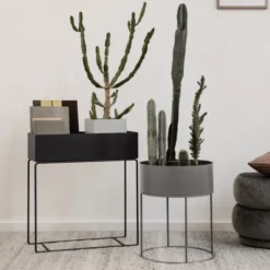 Plant Box