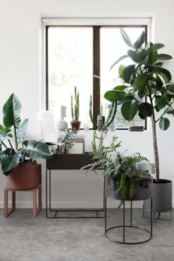 Plant Box Round