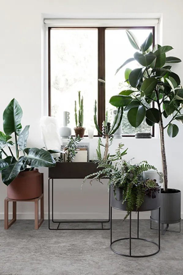 Plant Box Round