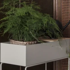 Plant Box Tray Ek