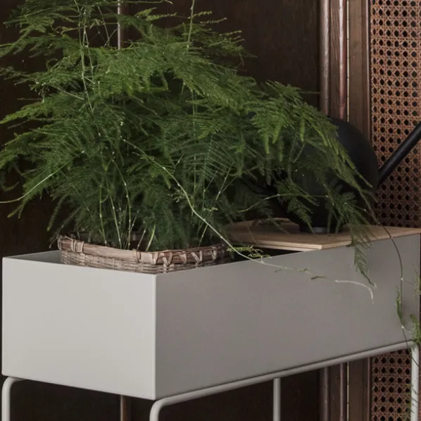 Plant Box Tray Ek