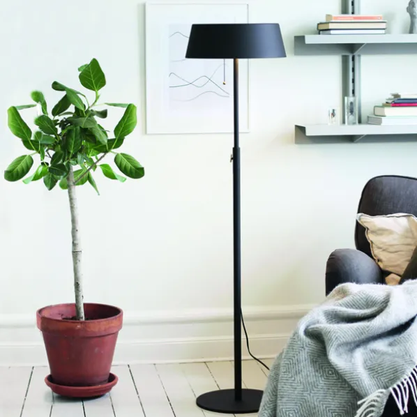 Q 440 Golvlampa