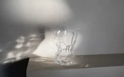 Reflection Vas
