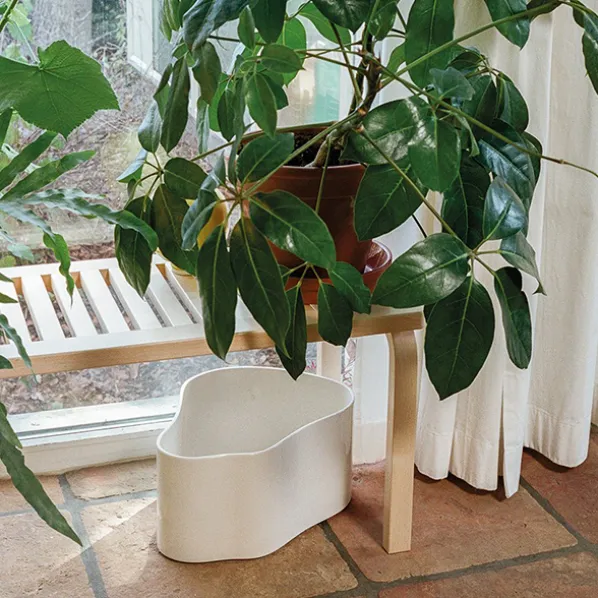 Riihitie Kruka Shape B Medium