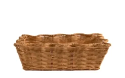 Scallop Rottingkorg