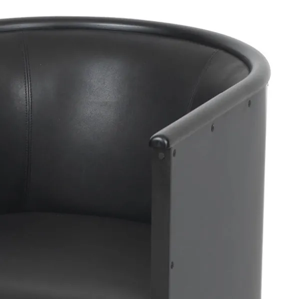Theselius Noir Fåtölj