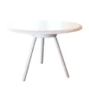 Zebra Coffee Table