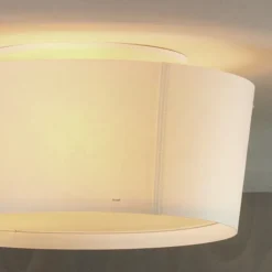 Z 813 Plafond