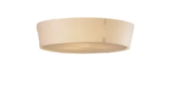 Z 818 Plafond Taklampa